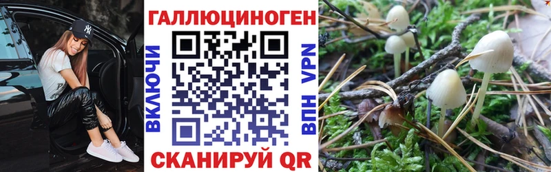 Псилоцибиновые грибы Magic Shrooms  Купить  Домодедово 